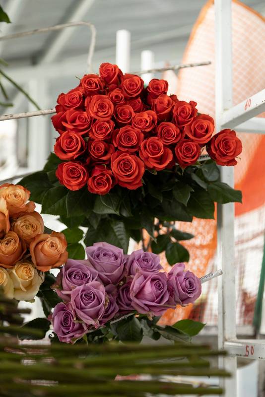 nature in floristry, beautiful flowers in spring, gift of love