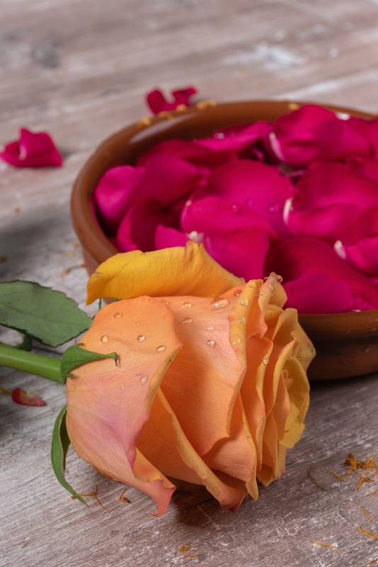 head of a rose next to a ceramic bowl full of rose petals, on a wooden table
