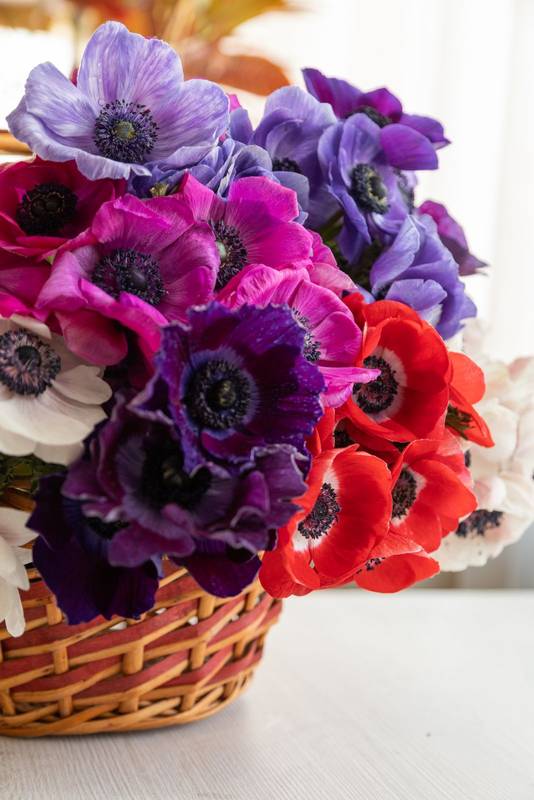icker basket with various flowers of different colors, decorative flower arrangement