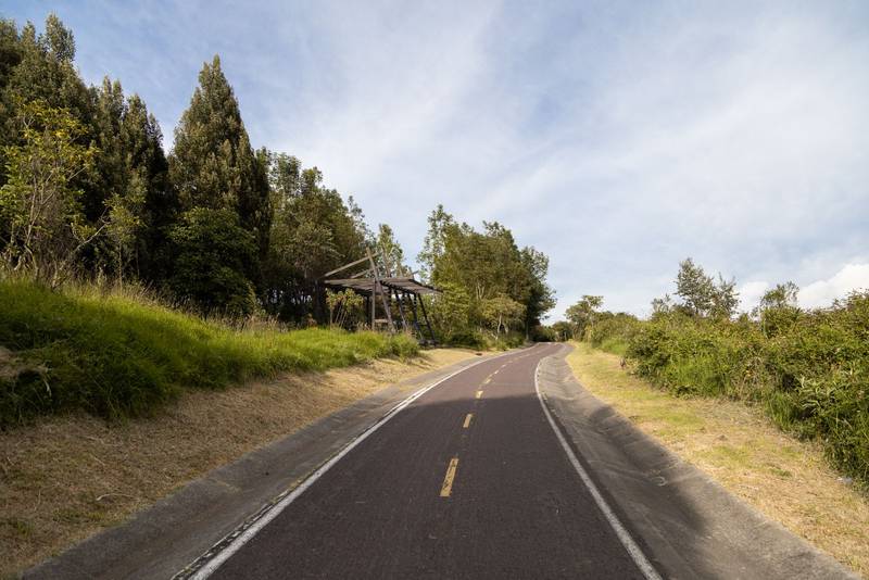 landscape of an empty asphalt road in a curve with nature on the sides