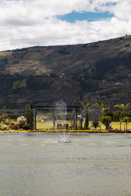 Scenic landscaped garden with trimmed hedges, colorful plants, and a distant mountain view