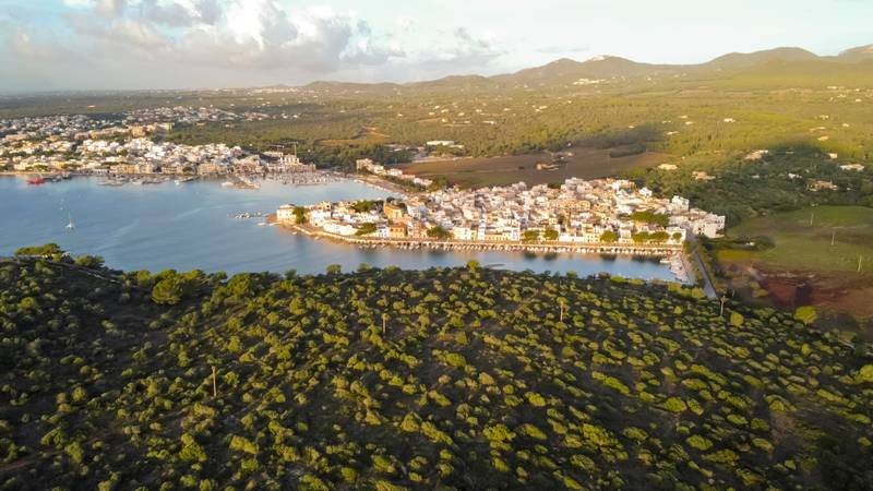 drone aerial view of the mediterranean sea at sunrise of small fishing port and marina, in portocolom,mallorca,balearic islands