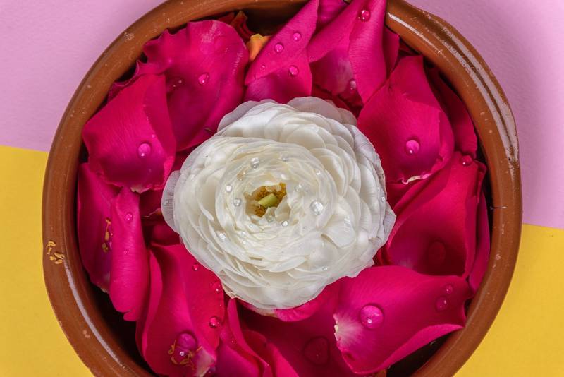 pink petals with the head of a white flower in the middle, floral decoration of objects, nature and beauty