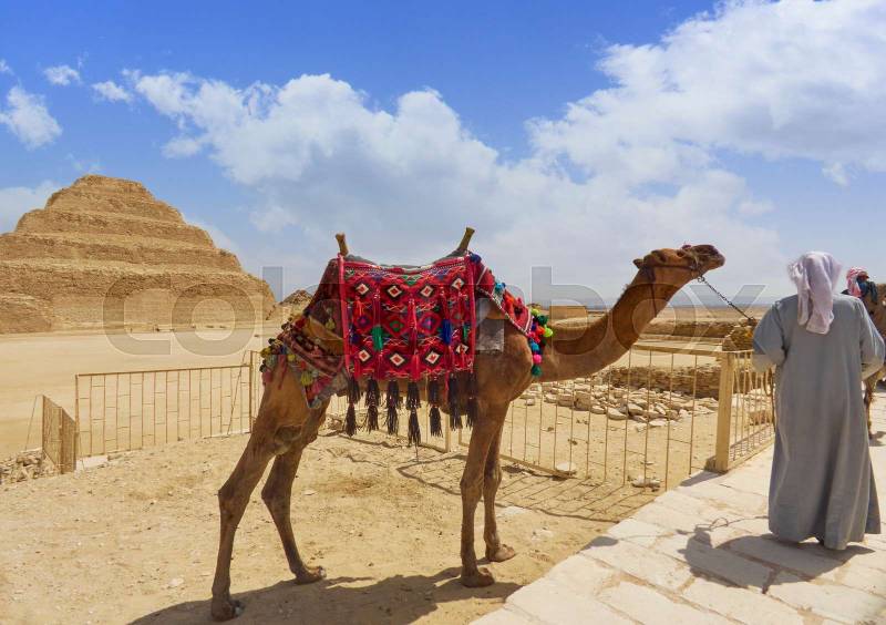 Landscapes of the Step Pyramid of Djoser