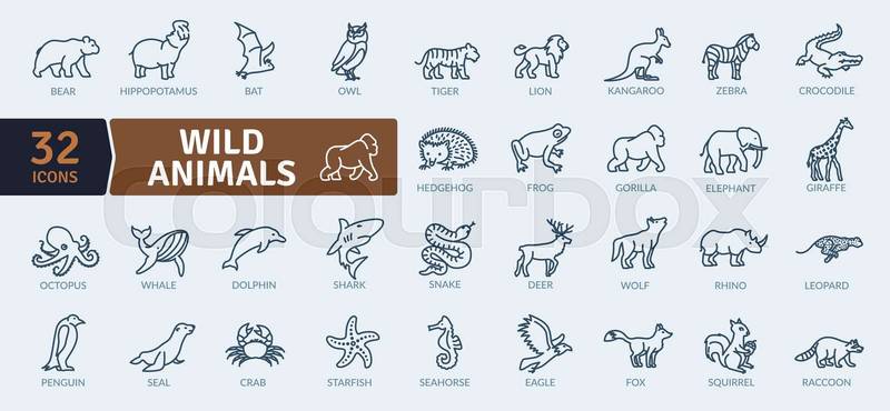 Wild Animals Icon Set: 32 Professional Line Illustrations