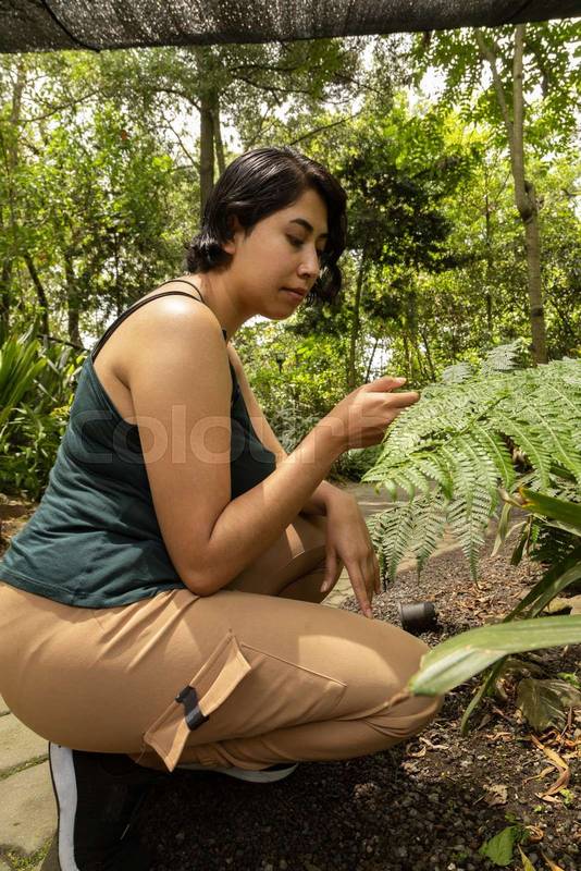 watching and holding the leaf of a natural plant in a garden