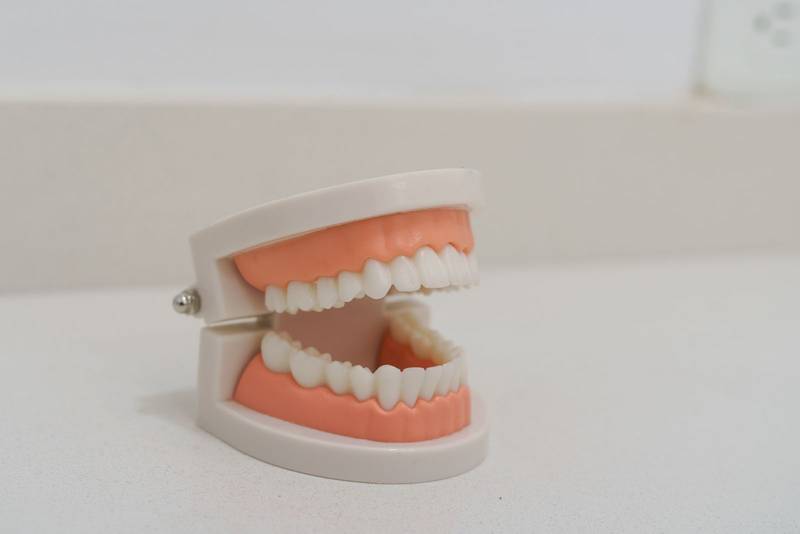 Modeled denture, dental article for teaching aids