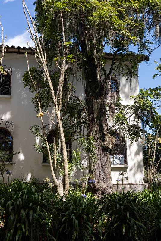 hacienda with clay roof tiles, white arches, and lush greenery, showcasing rustic elegance and timeless countryside