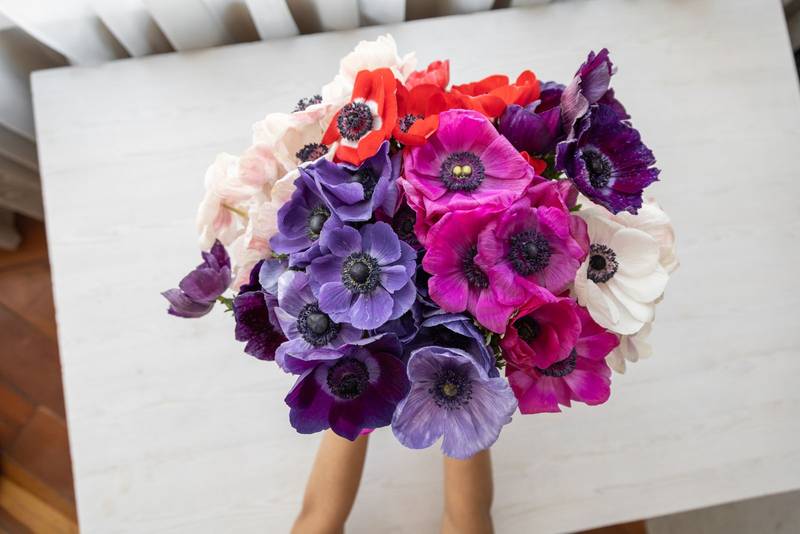 making a beautiful floral arrangement with natural plants