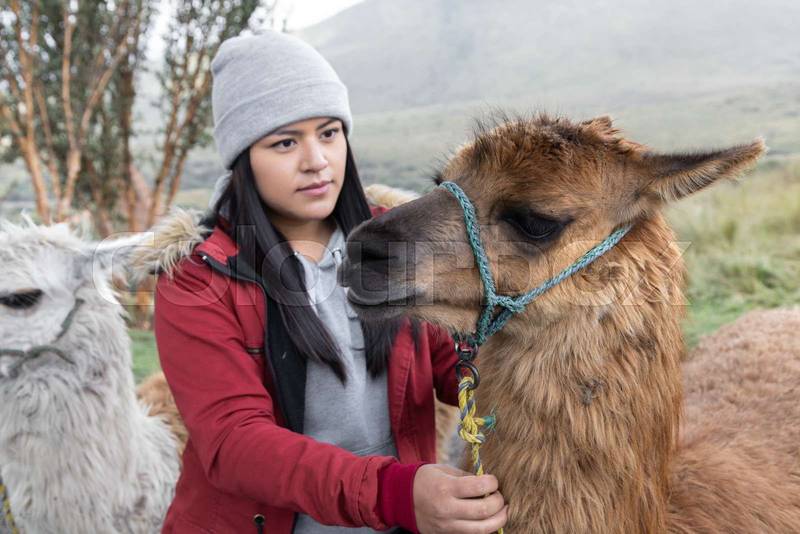 woman wearing a winter clothes while walking with some llamas, mammal domestic animal