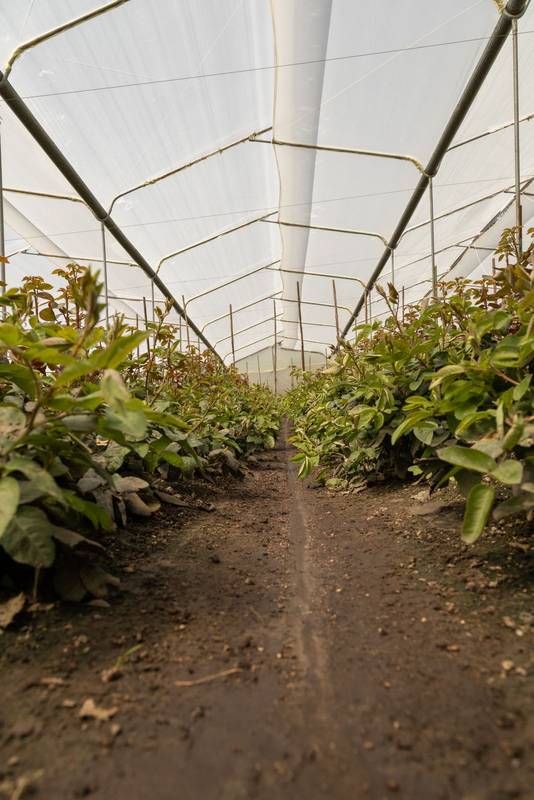 nature and agriculture