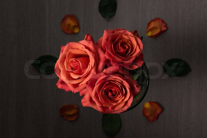 three beautiful roses, flower arrangement decorated with petals