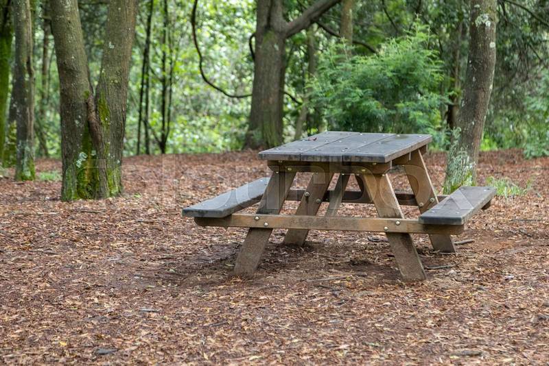 rustic wooden table with benches in the middle of a forest