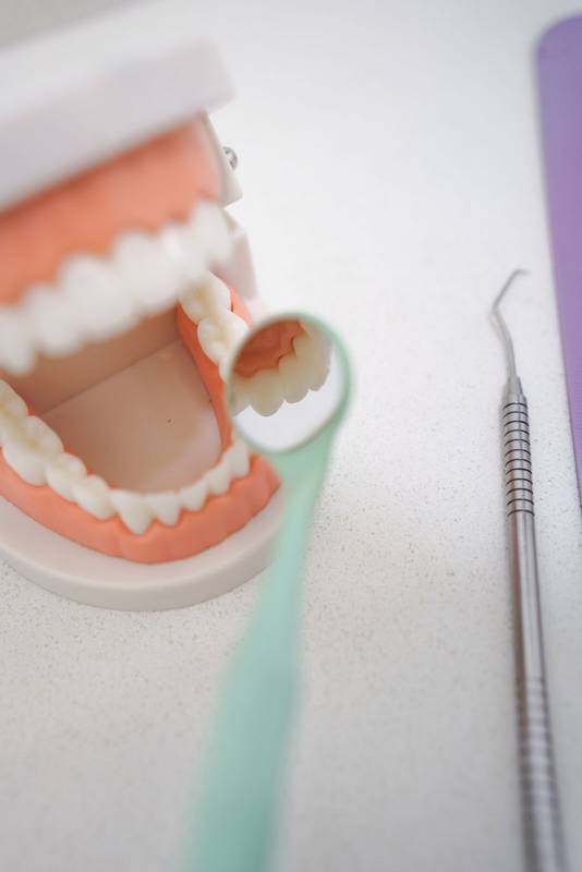 didactic material, open denture model with teeth, molars, gums, mirror and professional instrument, dental health