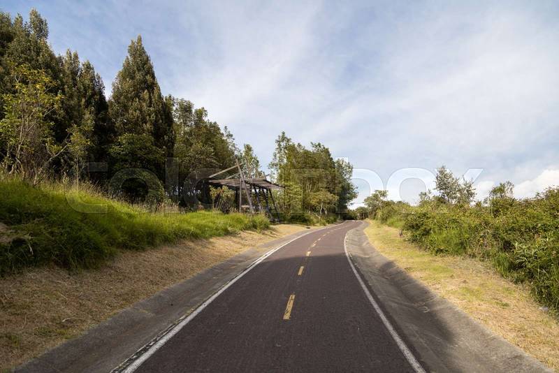 landscape of an empty asphalt road in a curve with nature on the sides