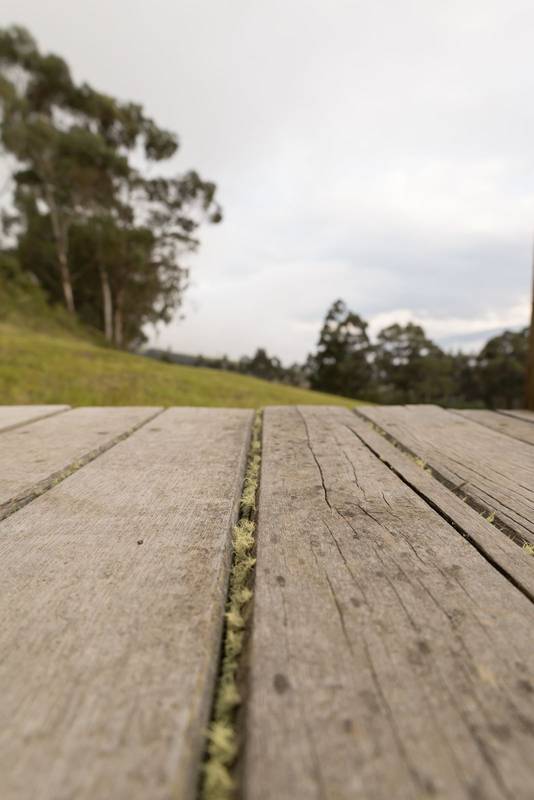 wooden plank on the floor and in the background landscape of a park