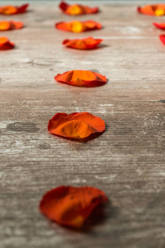 rose petals arranged in straight lines, on a wooden table, texture